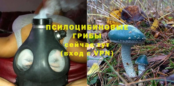 ешки Вяземский