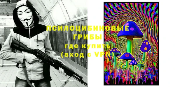 ешки Вяземский