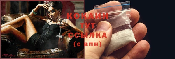 ешки Вяземский