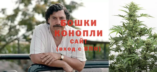 ешки Вяземский