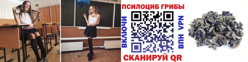 Псилоцибиновые грибы Psilocybe  Купить где  Куйбышев 
